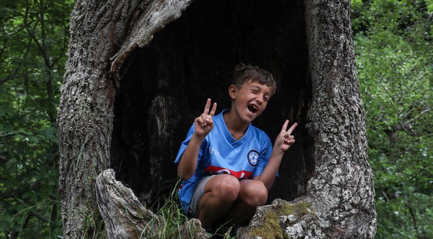 tipos de campamentos de verano