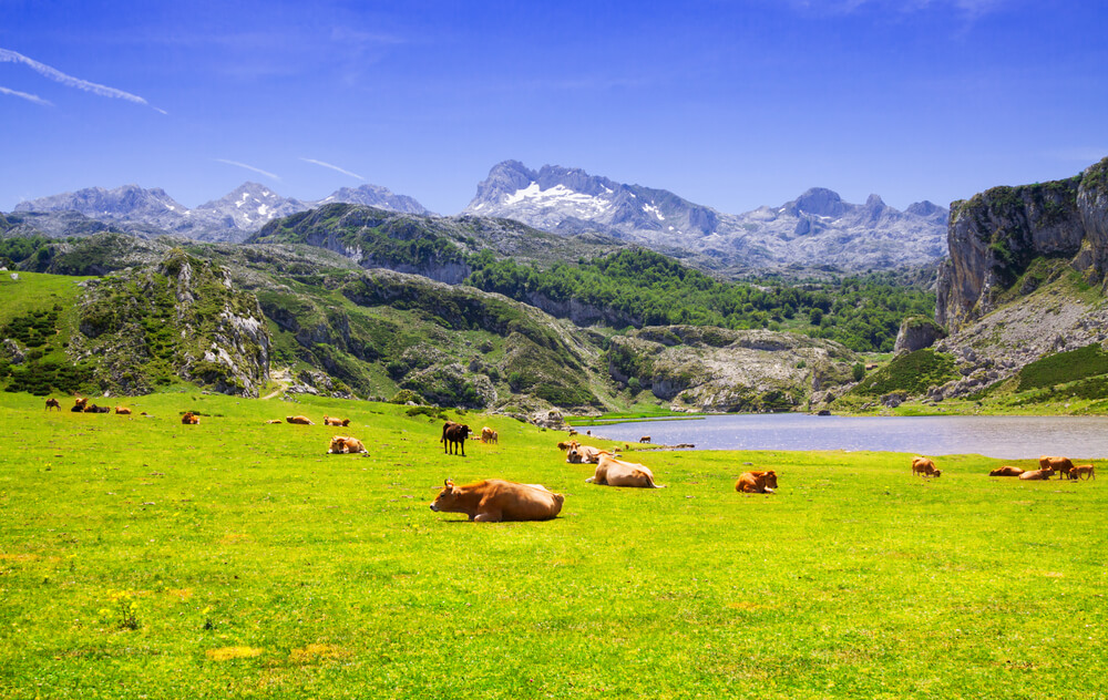 Multi-adventure in Asturias
