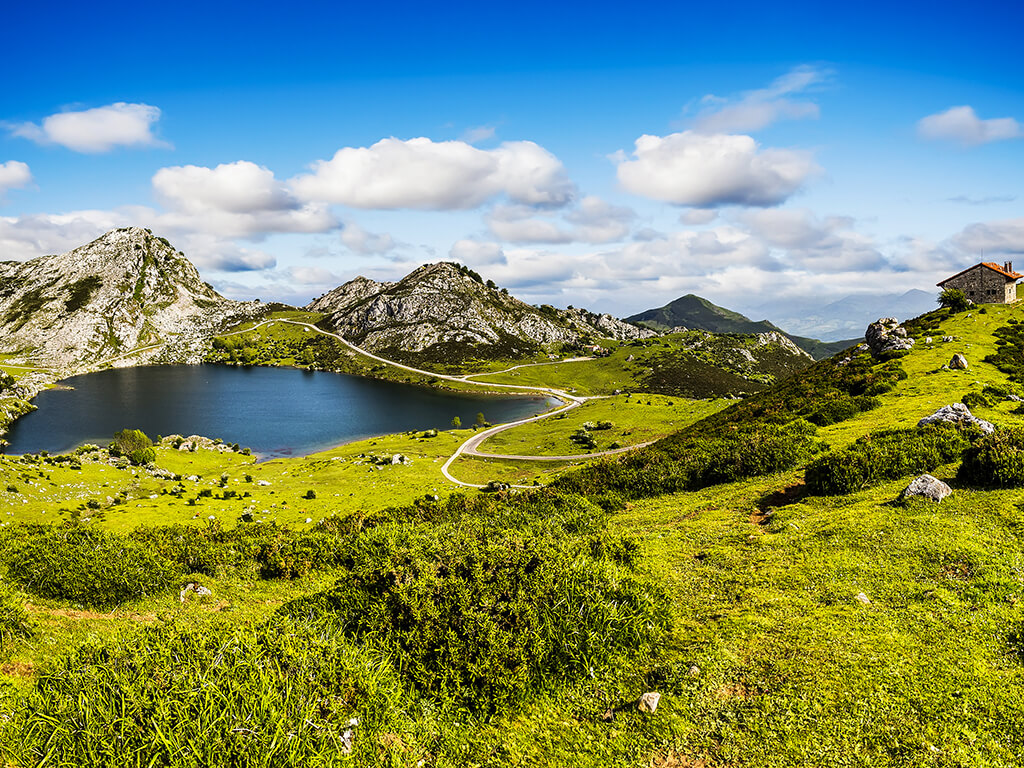 Organize trip to Asturias