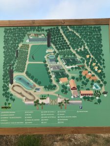 Mapa de las instalaciones de Finca Daroca: albergue, cabañas, piscina, rocódromo, lago, campos deportivos